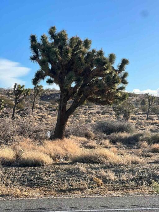 Joshua Tree National Park - Cozy Palms Getaway Apartment Twentynine Palms Exterior photo
